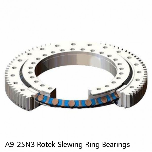 A9-25N3 Rotek Slewing Ring Bearings #1 small image