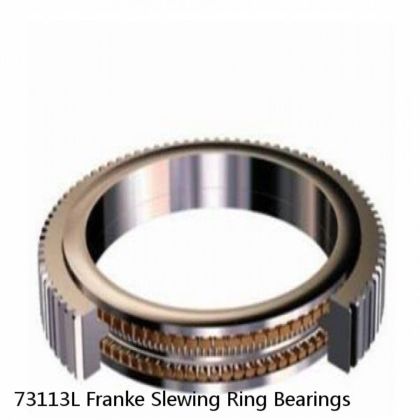 73113L Franke Slewing Ring Bearings #1 small image