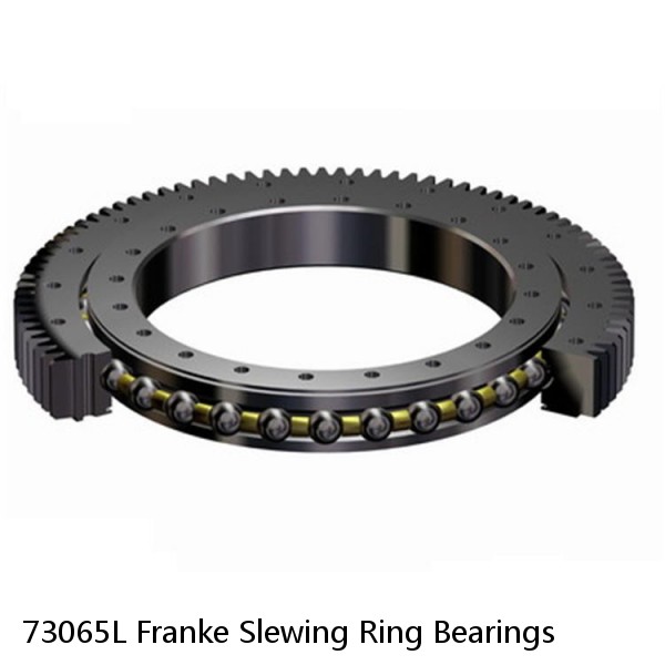 73065L Franke Slewing Ring Bearings #1 small image