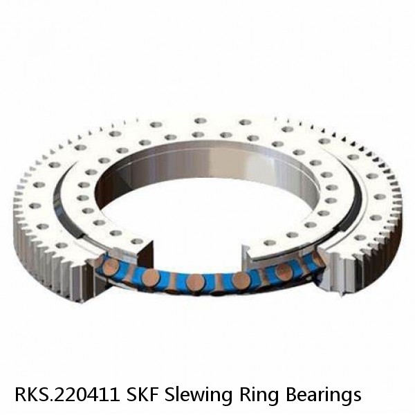 RKS.220411 SKF Slewing Ring Bearings #1 small image