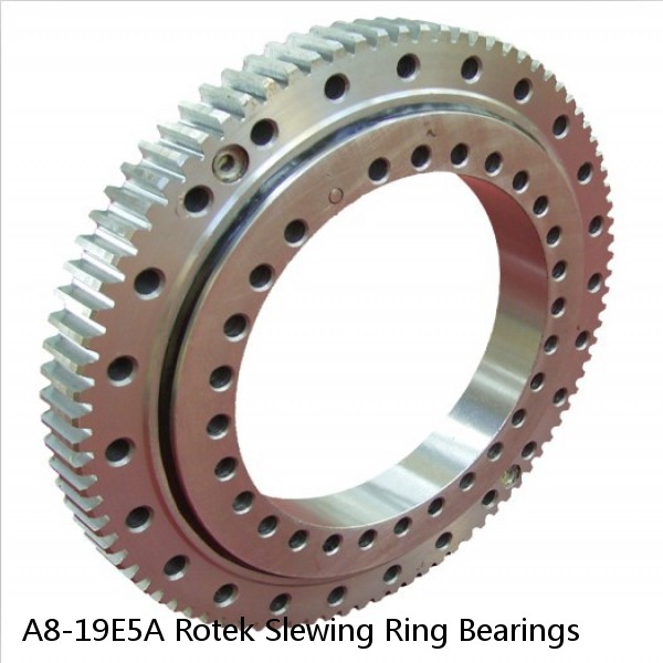 A8-19E5A Rotek Slewing Ring Bearings #1 small image