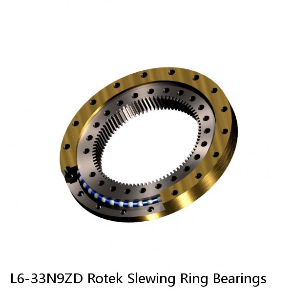 L6-33N9ZD Rotek Slewing Ring Bearings #1 small image
