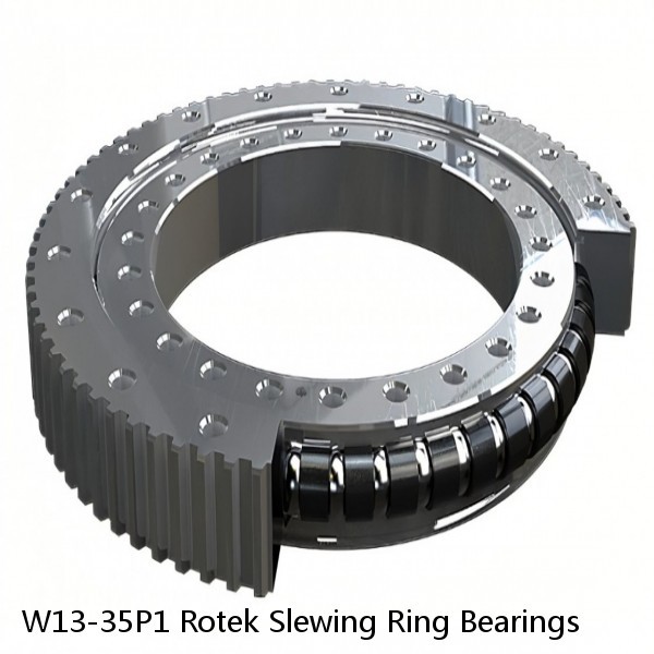 W13-35P1 Rotek Slewing Ring Bearings