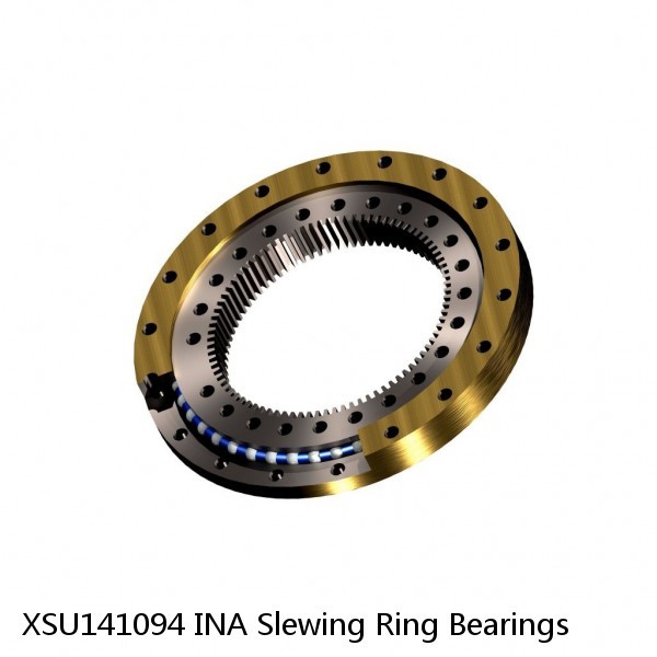 XSU141094 INA Slewing Ring Bearings #1 image